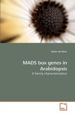 MADS box genes in Arabidopsis