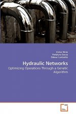 Hydraulic Networks
