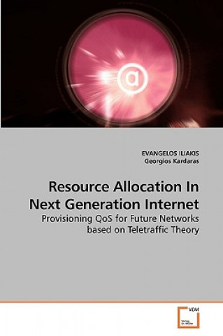 Resource Allocation In Next Generation Internet