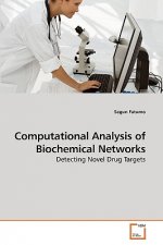 Computational Analysis of Biochemical Networks