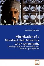 Minimization of a Mumford-Shah Model for X-ray Tomography