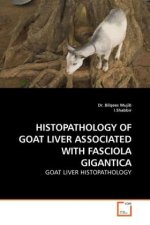 Histopathology of Goat Liver Associated with Fasciola Gigantica