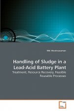 Handling of Sludge in a Lead-Acid Battery Plant