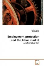 Employment protection and the labor market