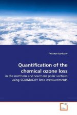 Quantification of the chemical ozone loss