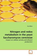 Nitrogen and redox metabolism in the yeast Saccharomyces cerevisiae