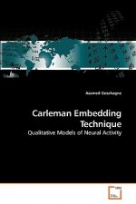 Carleman Embedding Technique