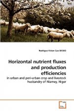 Horizontal nutrient fluxes and production efficiencies
