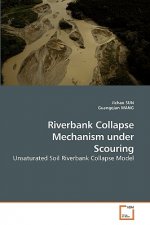 Riverbank Collapse Mechanism under Scouring