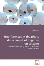 Interferences in the photo detachment of negative ion systems