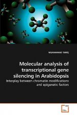 Molecular analysis of transcriptional gene silencing in Arabidopsis