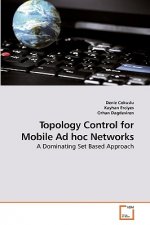 Topology Control for Mobile Ad hoc Networks