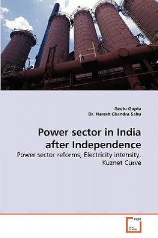 Power Sector in India After Independence