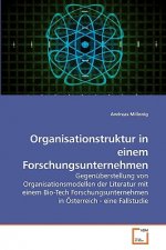 Organisationstruktur in einem Forschungsunternehmen