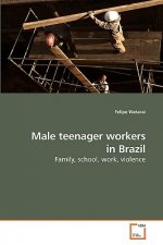 Male teenager workers in Brazil
