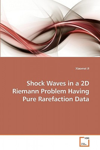 Shock Waves in a 2D Riemann Problem Having Pure Rarefaction Data