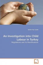 Investigation into Child Labour in Turkey