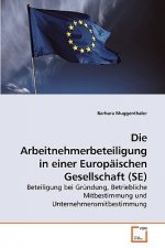 Arbeitnehmerbeteiligung in einer Europaischen Gesellschaft (SE)