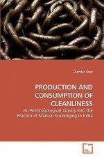 Production and Consumption of Cleanliness