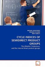 Cycle Indices of Semidirect Product Groups