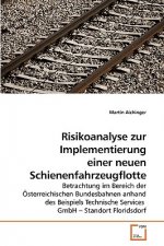 Risikoanalyse zur Implementierung einer neuen Schienenfahrzeugflotte