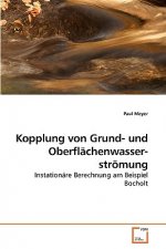 Kopplung von Grund- und Oberflachenwasserstroemung
