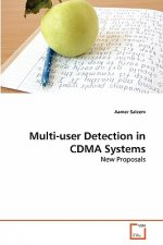 Multi-user Detection in CDMA Systems