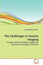 Challenges in Seismic Imaging