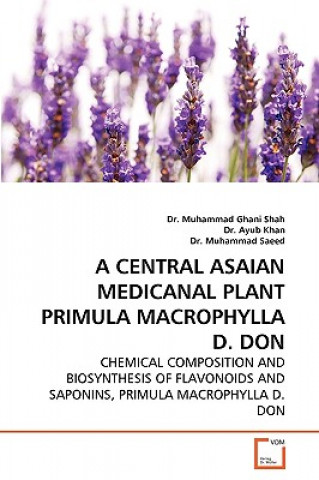 Central Asaian Medicanal Plant Primula Macrophylla D. Don
