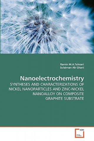 Nanoelectrochemistry