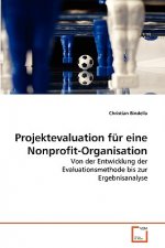 Projektevaluation fur eine Nonprofit-Organisation