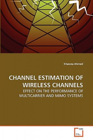 Channel Estimation of Wireless Channels