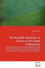 Kurdish Question in Turkey in the third millennium