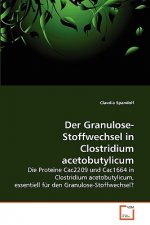 Granulose-Stoffwechsel in Clostridium acetobutylicum