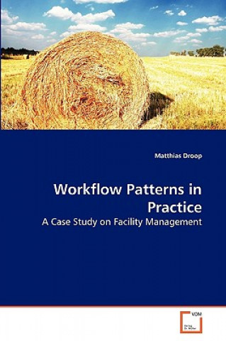 Workﬂow Patterns in Practice