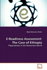E-Readiness Assessment