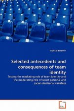 Selected antecedents and consequences of team identity