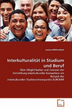 Interkulturalitat in Studium und Beruf