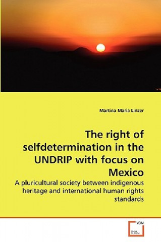 right of selfdetermination in the UNDRIP with focus on Mexico