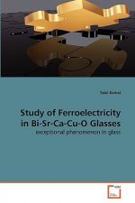 Study of Ferroelectricity in Bi-Sr-Ca-Cu-O Glasses