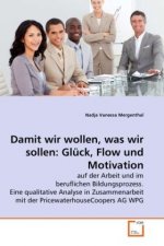 Damit wir wollen, was wir sollen: Glück, Flow und Motivation