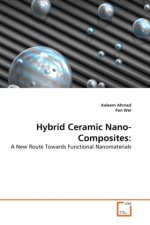 Hybrid Ceramic Nano-Composites: