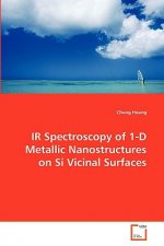 IR Spectroscopy of 1-D Metallic Nanostructures on Si Vicinal Surfaces