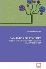 Dynamics of Poverty