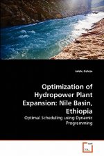 Optimization of Hydropower Plant Expansion