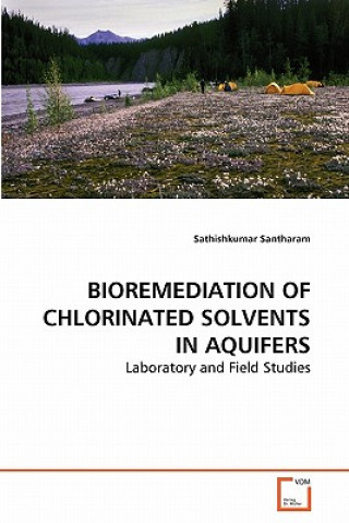 Bioremediation of Chlorinated Solvents in Aquifers