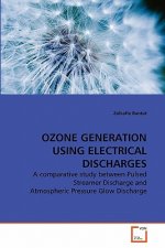 Ozone Generation Using Electrical Discharges