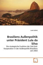Brasiliens Außenpolitik unter Präsident Lula da Silva