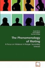 Phenomenology of Rioting