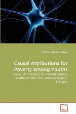 Causal Attributions for Poverty among Youths